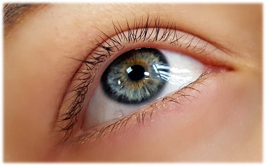 Ресничные ряды